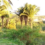 Amparo Hayas 3* Valle Gran Rey