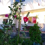 Amparo Hayas