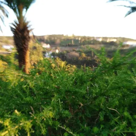 Konukevi Amparo Hayas 2*
