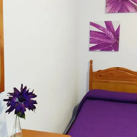Amparo Hayas Konukevi
