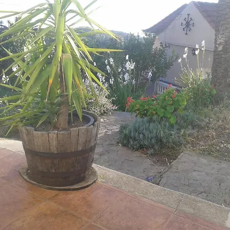Amparo Hayas Konukevi